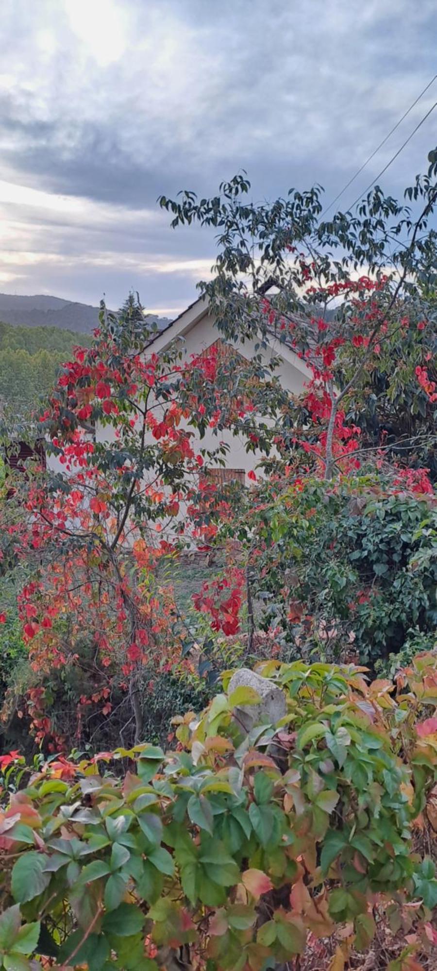 Chalet Entre Parques Naturales Vallgorguina Eksteriør bilde